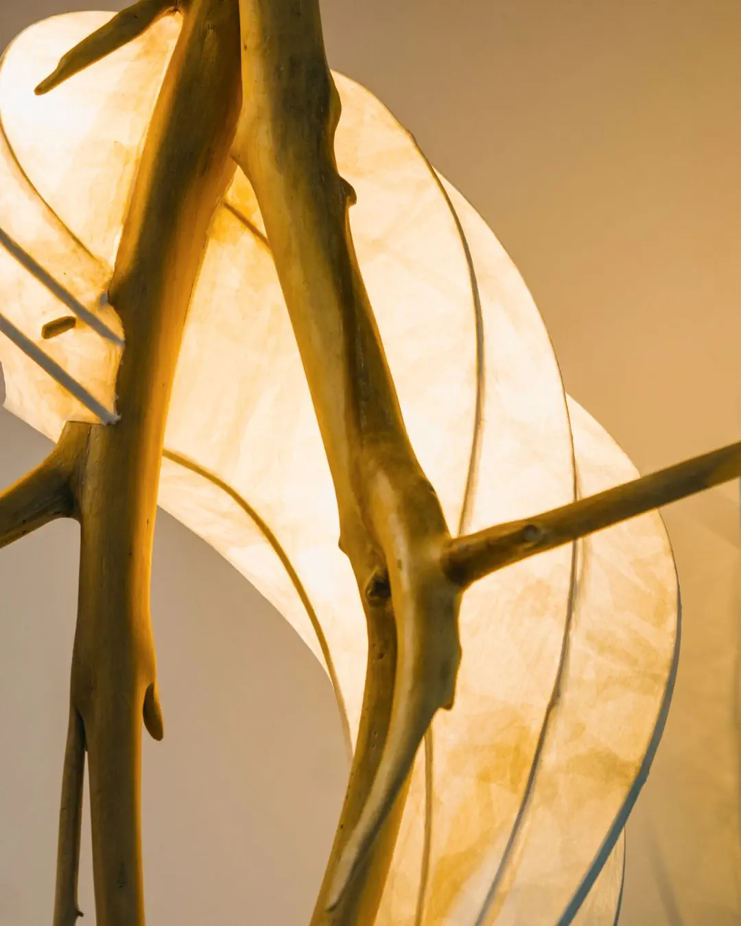 Esencia del Mar, detalle 2