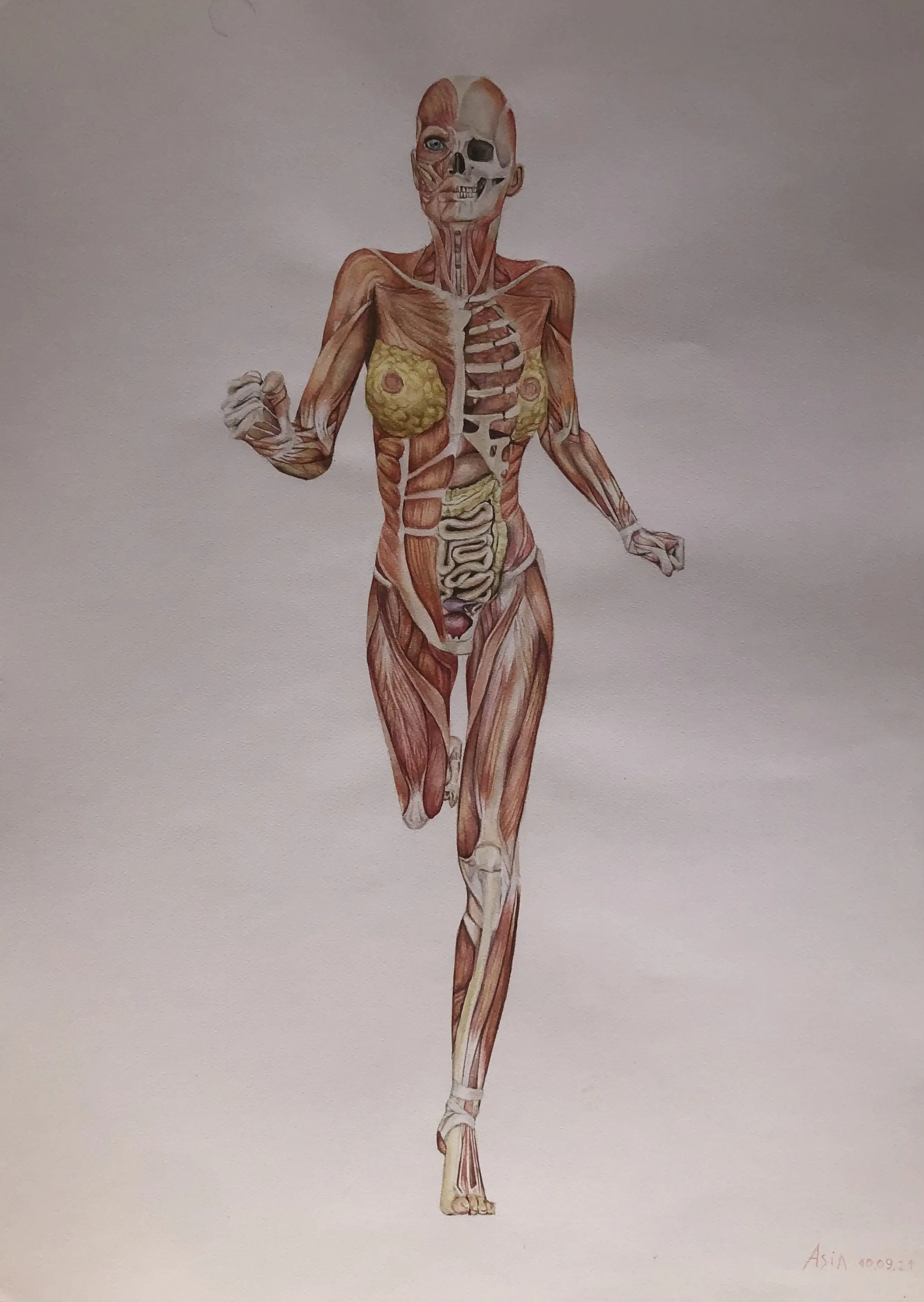 Anatomía de Mujer