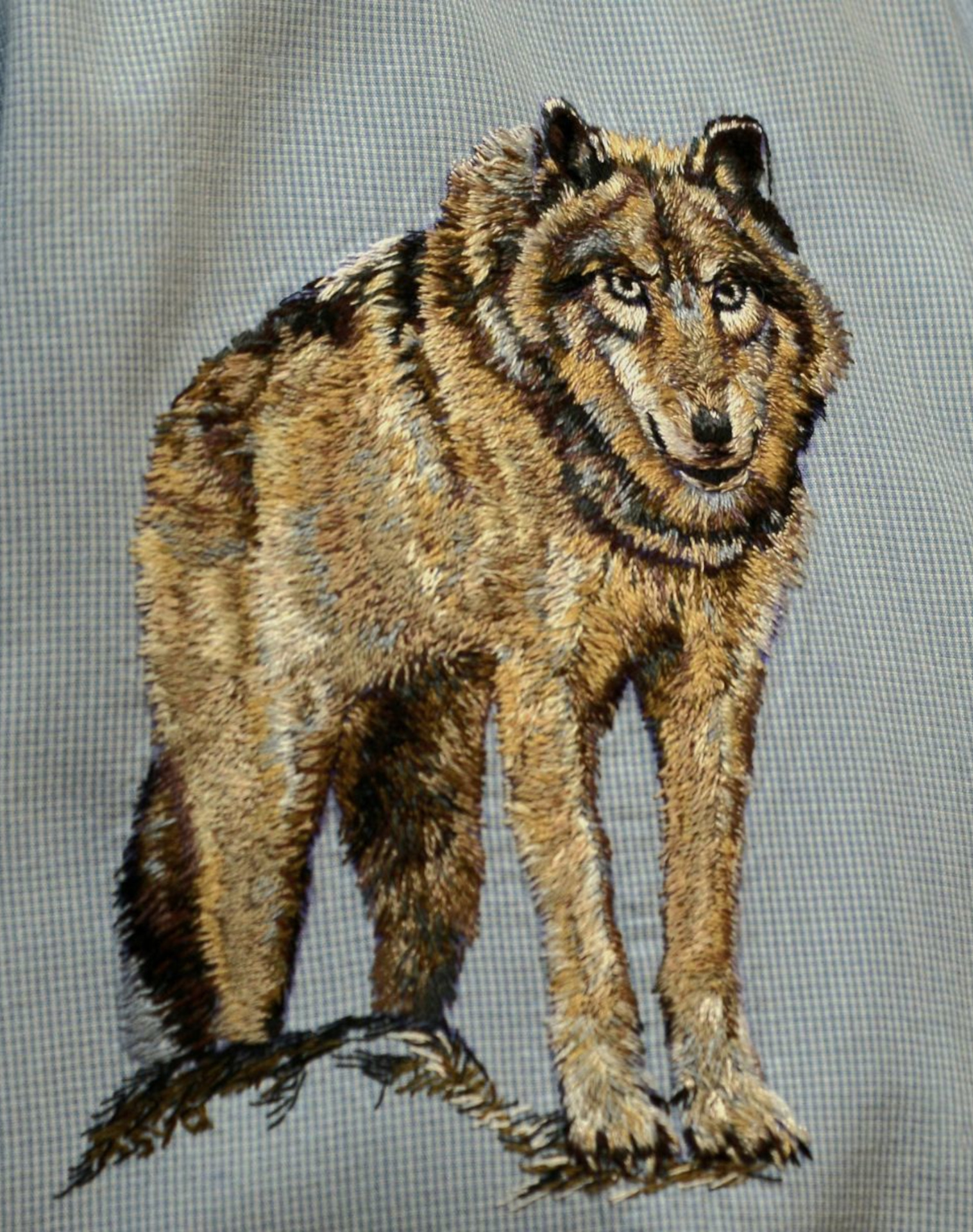 Lupo
