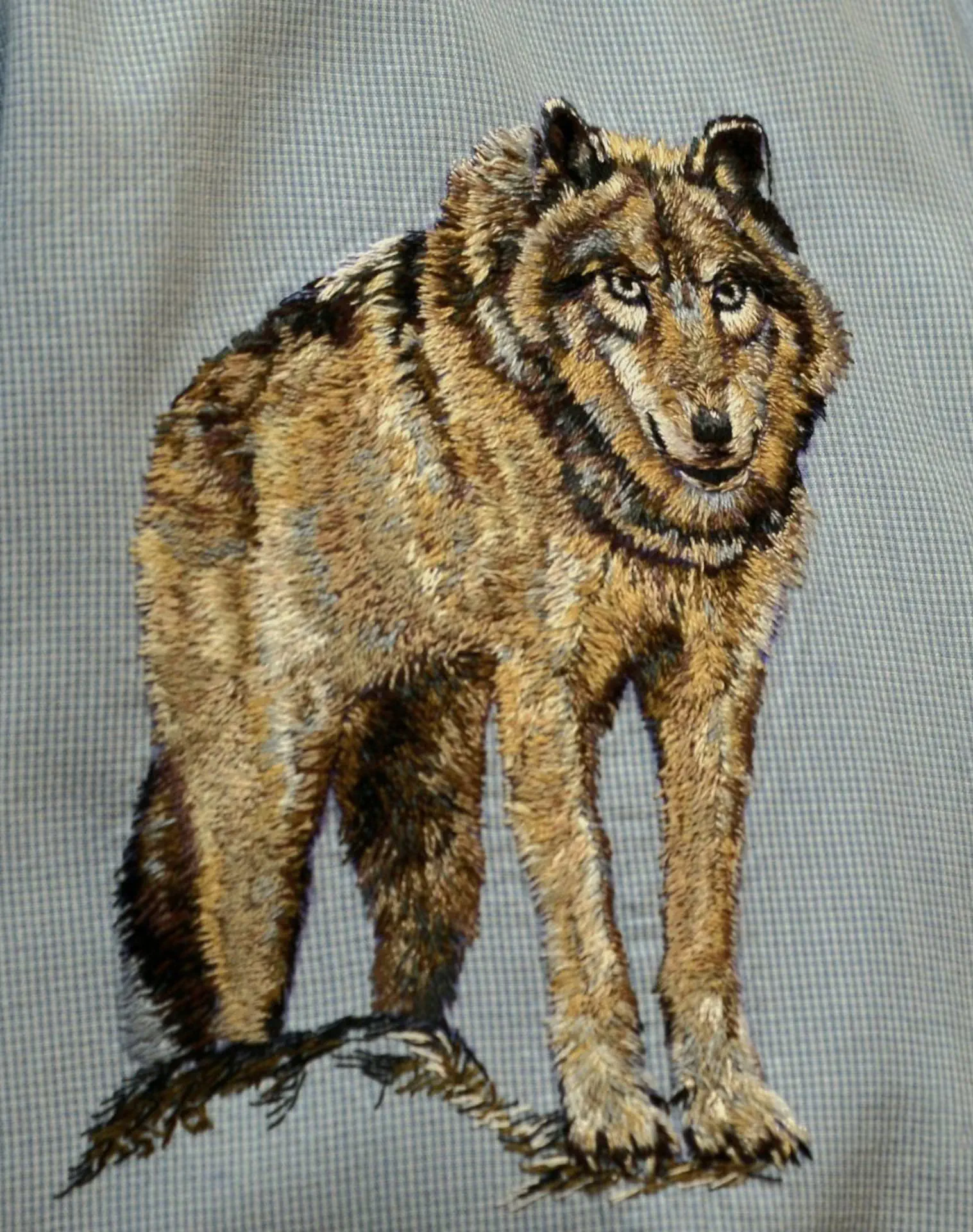 Wolf